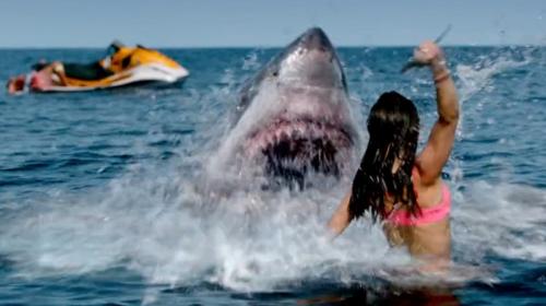 Sinopsis Film Shark Bait